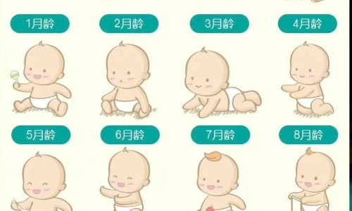 米皮会长胖吗-米皮的脂肪网 - 为你提供米皮增肥还是减肥、米皮能减肥吗